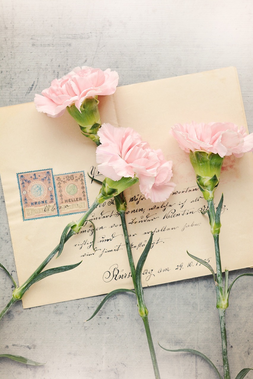 letter, envelope, pink carnations-1390586.jpg